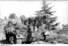 bundesarchiv_bild_101i-310-0876-13_italien_getarnter_panzerjger_nashorn-hornisse