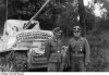 ss-division wiking