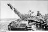 bundesarchiv_bild_101i-476-2053-31a_italien_sturmgeschtz_iii_im_gelnde