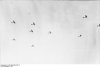 Bundesarchiv Bild 101I-403-0313-15, Flugzeuge Heinkel He 111