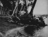 Archivio Nazionale Americano