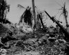 Archivio Nazionale Americano