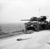 M10 Wolferine
