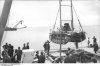 bundesarchiv bild 101ii-mw-5674-43 bungen mit panzer iii fr unternehmen seelwe
